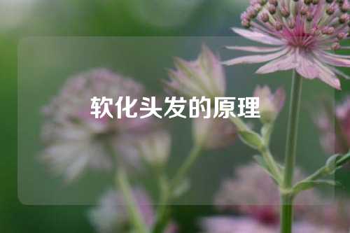 软化头发的原理