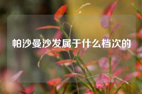 帕沙曼沙发属于什么档次的