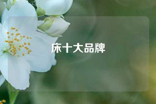 床十大品牌