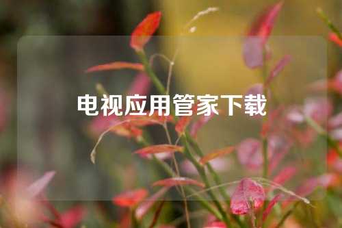 电视应用管家下载