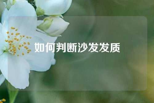 如何判断沙发发质