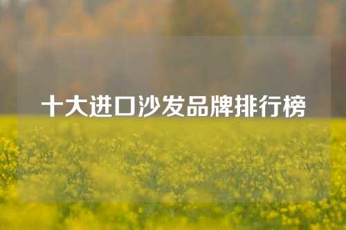 十大进口沙发品牌排行榜