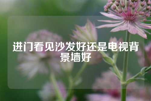 进门看见沙发好还是电视背景墙好