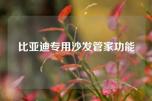 比亚迪专用沙发管家功能