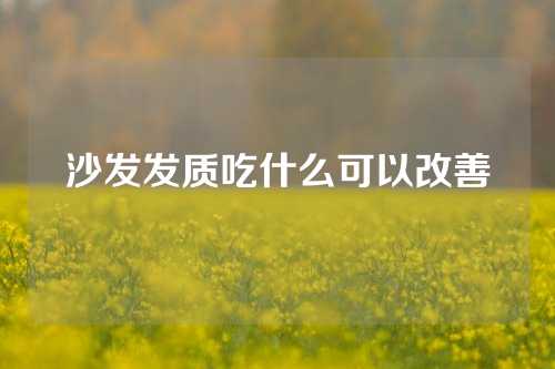 沙发发质吃什么可以改善