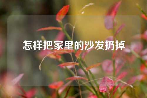 怎样把家里的沙发扔掉