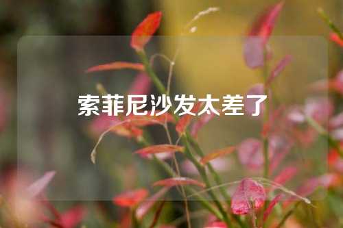 索菲尼沙发太差了