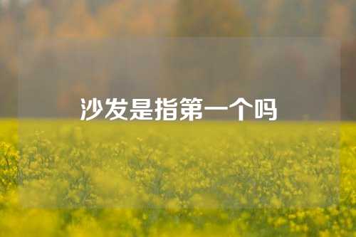 沙发是指第一个吗