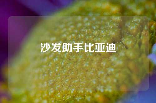 沙发助手比亚迪