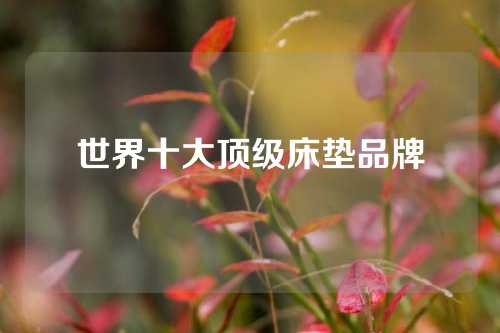 世界十大顶级床垫品牌