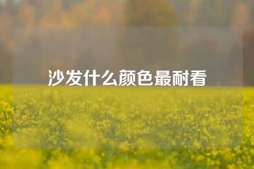 沙发什么颜色最耐看
