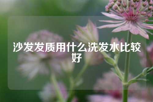 沙发发质用什么洗发水比较好