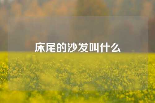 床尾的沙发叫什么
