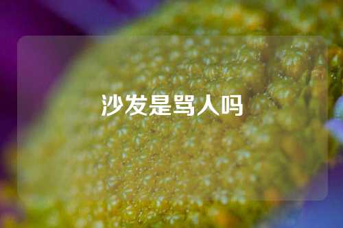 沙发是骂人吗