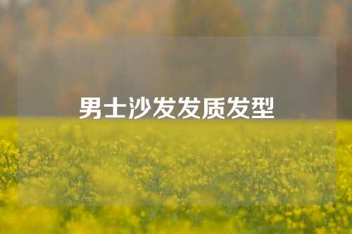 男士沙发发质发型