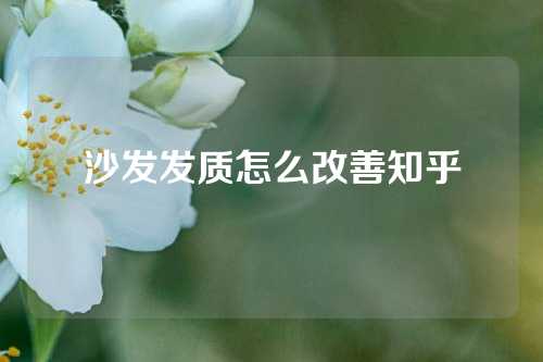 沙发发质怎么改善知乎
