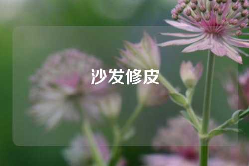 沙发修皮