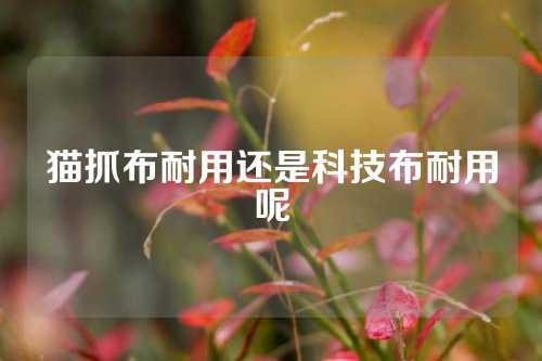 猫抓布耐用还是科技布耐用呢