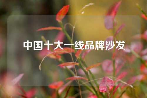 中国十大一线品牌沙发