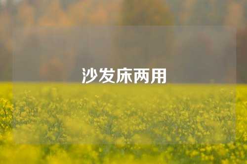 沙发床两用