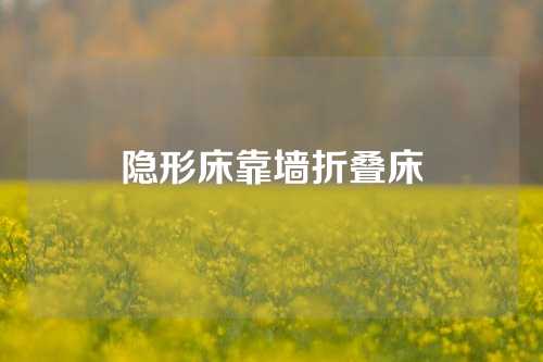 隐形床靠墙折叠床