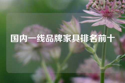 国内一线品牌家具排名前十