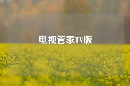 电视管家TV版