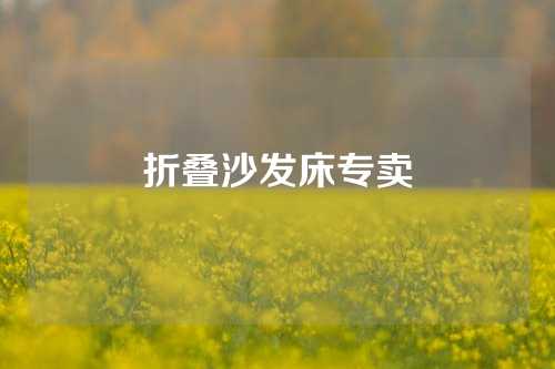 折叠沙发床专卖