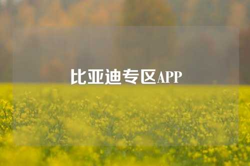 比亚迪专区APP