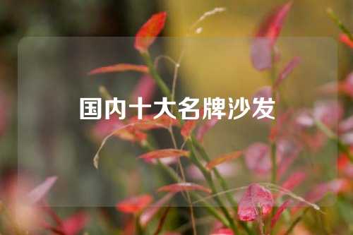 国内十大名牌沙发