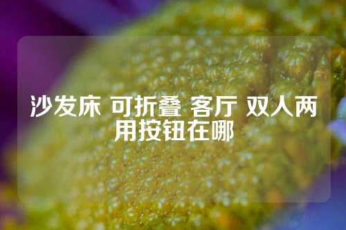 沙发床 可折叠 客厅 双人两用按钮在哪