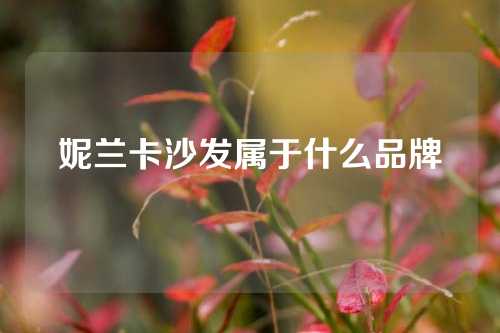 妮兰卡沙发属于什么品牌