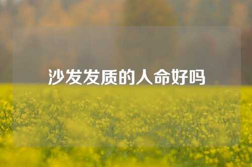 沙发发质的人命好吗