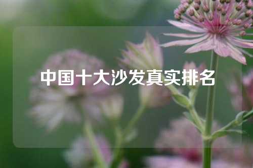 中国十大沙发真实排名