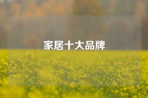 家居十大品牌