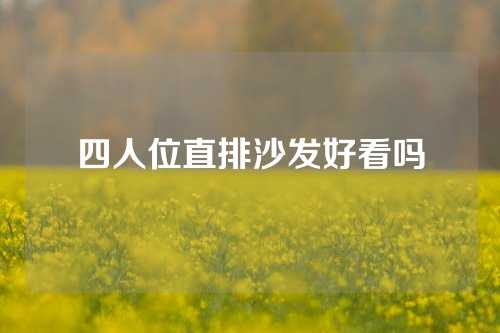 四人位直排沙发好看吗