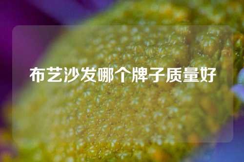 布艺沙发哪个牌子质量好