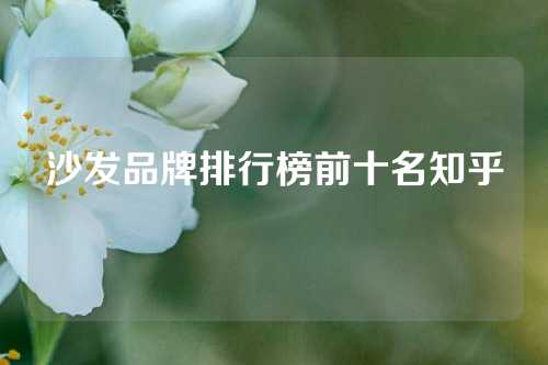 沙发品牌排行榜前十名知乎