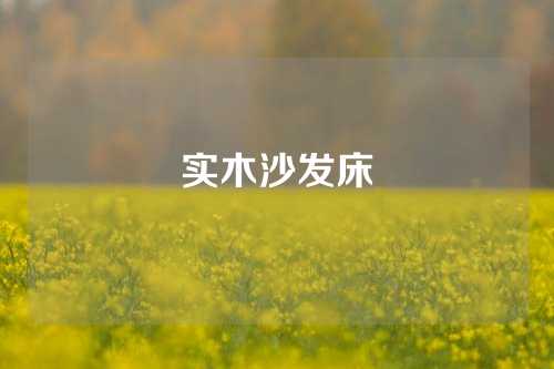 实木沙发床