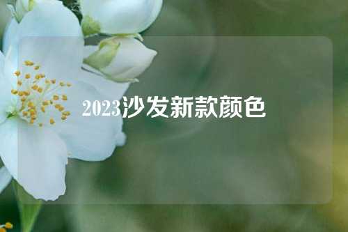 2023沙发新款颜色