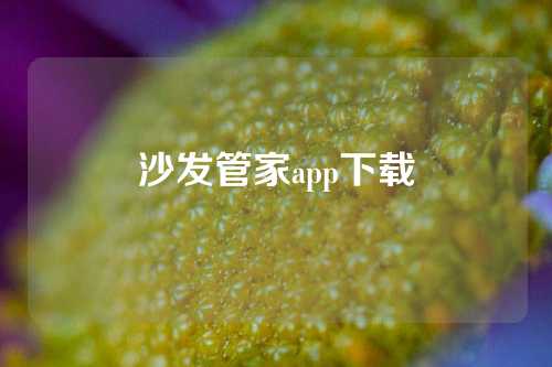 沙发管家app下载