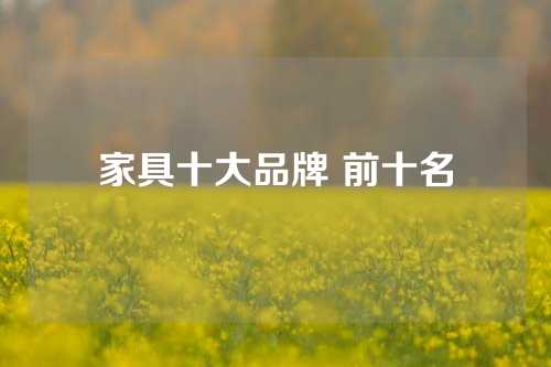 家具十大品牌 前十名