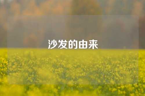 沙发的由来