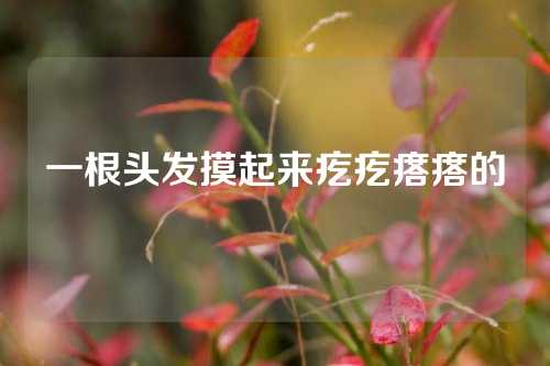 一根头发摸起来疙疙瘩瘩的