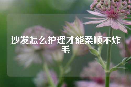 沙发怎么护理才能柔顺不炸毛