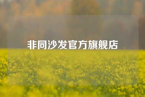 非同沙发官方旗舰店