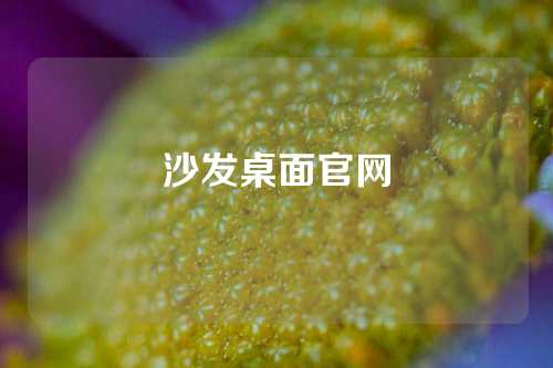 沙发桌面官网