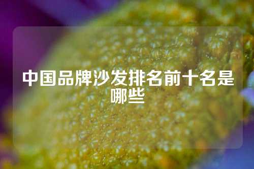 中国品牌沙发排名前十名是哪些