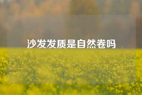沙发发质是自然卷吗