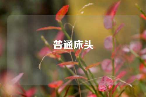普通床头
